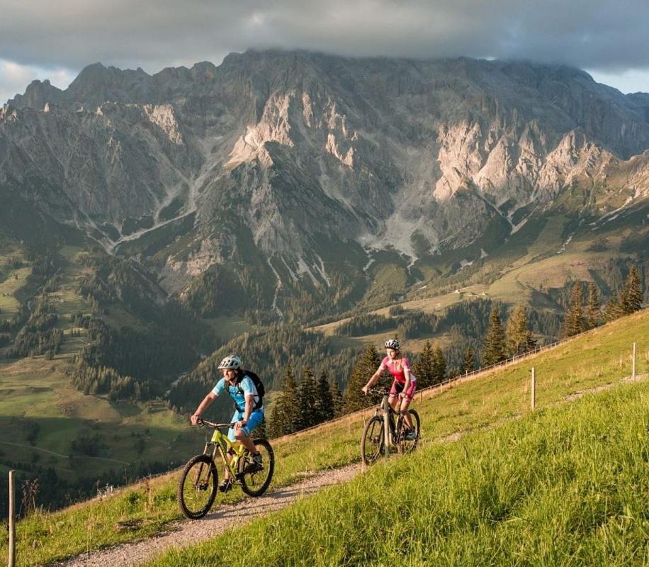 Leni'S Mountain Appartements Dienten am Hochkönig Εξωτερικό φωτογραφία