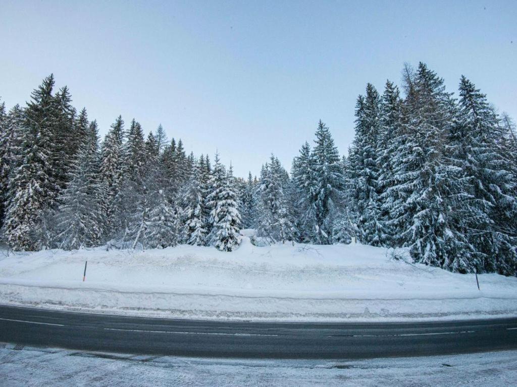 Leni'S Mountain Appartements Dienten am Hochkönig Εξωτερικό φωτογραφία
