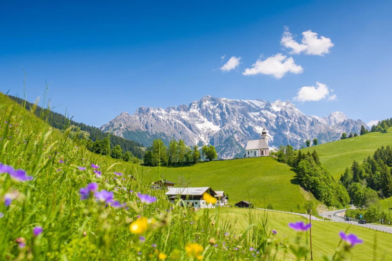 Leni'S Mountain Appartements Dienten am Hochkönig Εξωτερικό φωτογραφία