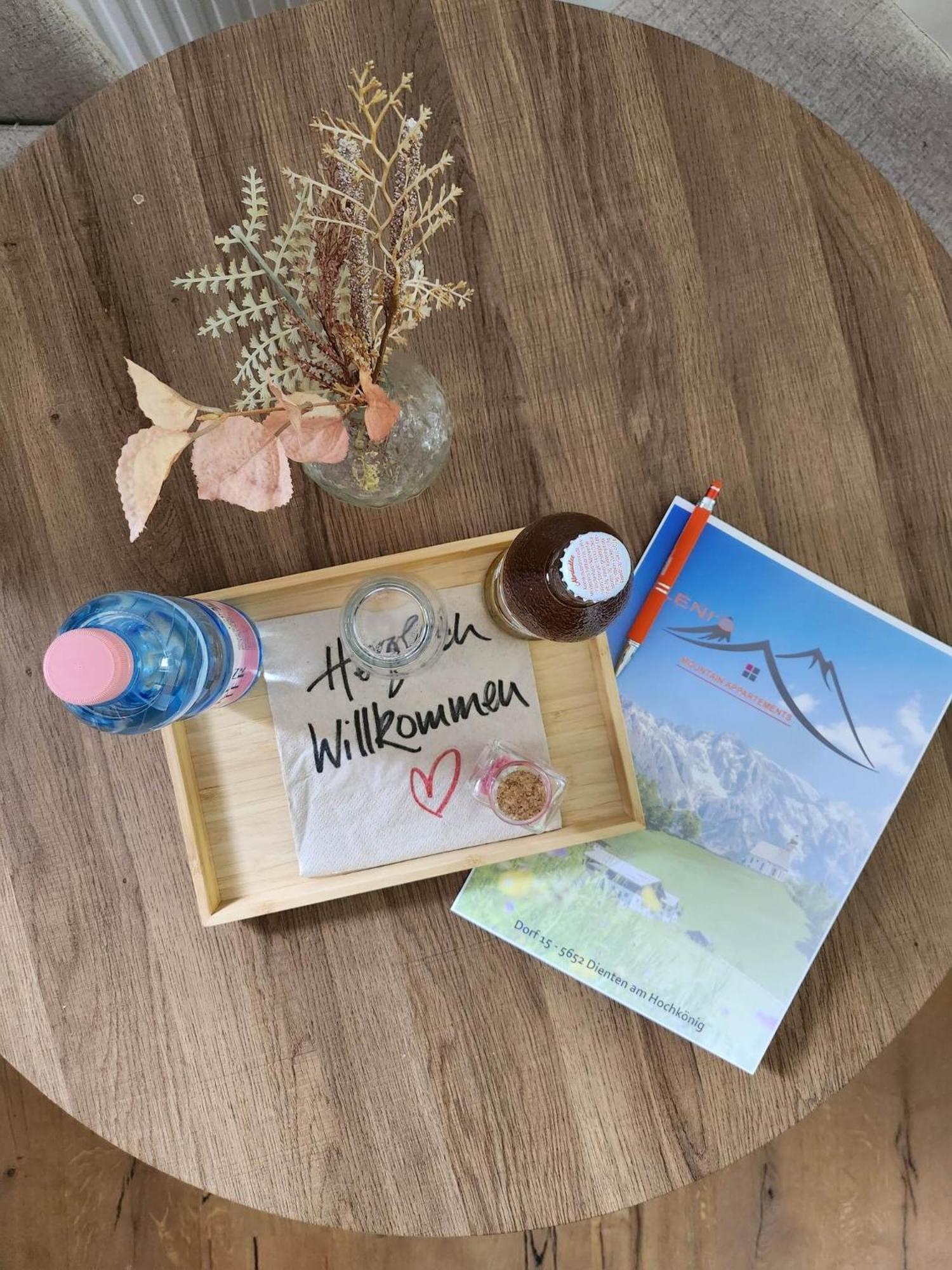 Leni'S Mountain Appartements Dienten am Hochkönig Εξωτερικό φωτογραφία