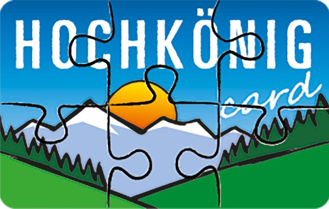 Leni'S Mountain Appartements Dienten am Hochkönig Εξωτερικό φωτογραφία
